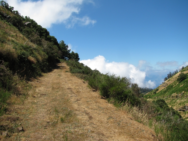 28 de julho de 2015 Levada do Boqueirao e Espigao — No caminho de gravilha até ao Pico da Cruz — foto 10