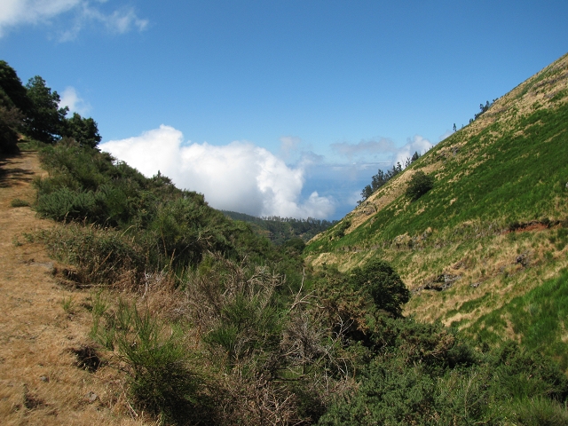 28 de julho de 2015 Levada do Boqueirao e Espigao — No caminho de gravilha até ao Pico da Cruz — foto 11