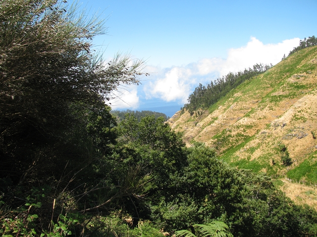 28 de julho de 2015 Levada do Boqueirao e Espigao — No caminho de gravilha até ao Pico da Cruz — foto 12