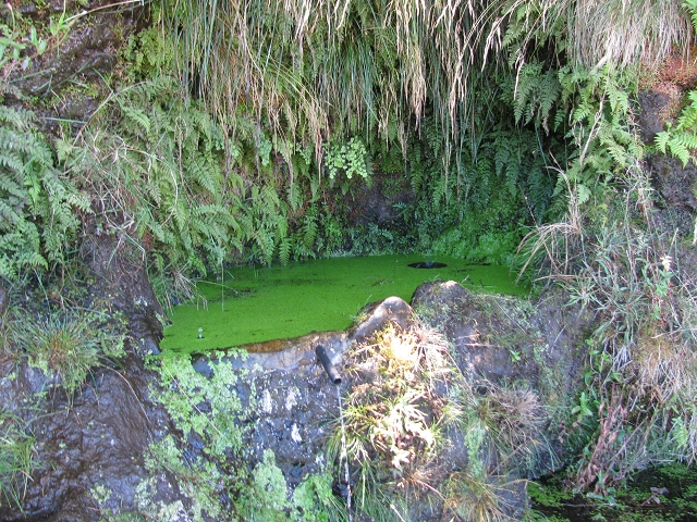 28 de julho de 2015 Levada do Boqueirao e Espigao — No caminho de gravilha até ao Pico da Cruz — foto 20