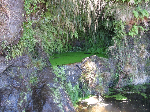 28 de julho de 2015 Levada do Boqueirao e Espigao — No caminho de gravilha até ao Pico da Cruz — foto 21