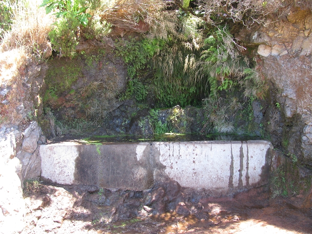 28 de julho de 2015 Levada do Boqueirao e Espigao — No caminho de gravilha até ao Pico da Cruz — foto 22