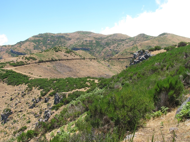28 de julho de 2015 Levada do Boqueirao e Espigao — No caminho de gravilha até ao Pico da Cruz — foto 27