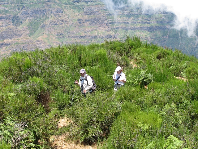 28 de julho de 2015 Levada do Boqueirao e Espigao — No caminho de gravilha até ao Pico da Cruz — foto 28