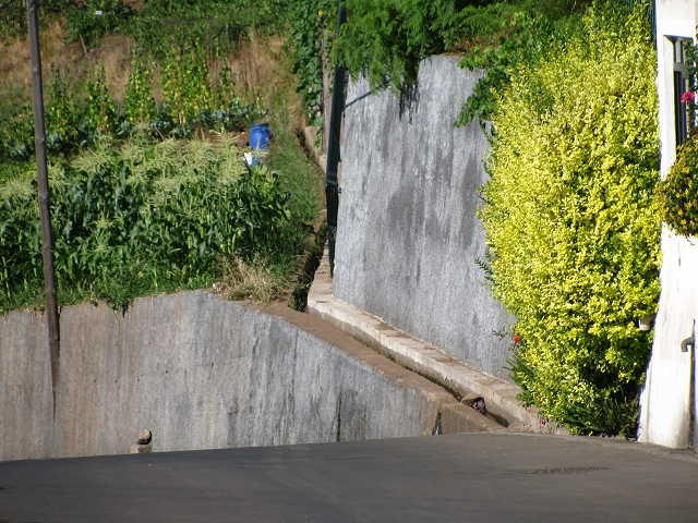 28 de julho de 2015 Levada do Boqueirao e Espigao — Espigao e Levada da Boqueirao — foto 6
