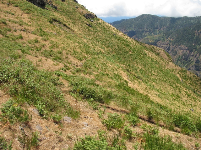 28 de julho de 2015 Levada do Boqueirao e Espigao — A descida sem sucesso — foto 3