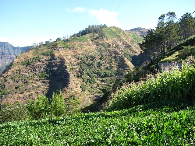 28 de julho de 2015 Levada do Boqueirao e Espigao — Espigao e Levada da Boqueirao — foto 7