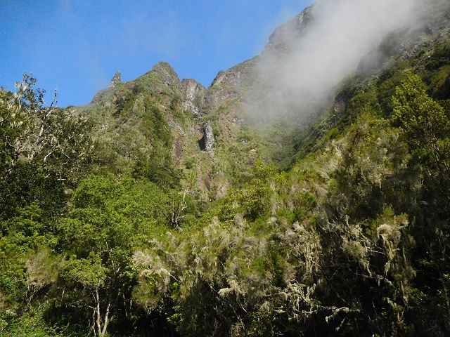 29.06.2016 Zum alten Verlauf der Levadinha Joao de Deus und über die Levada do Pico Ruivo und Serra do Faial zurück — Auf der Levada da Serra do Faial zur Ribeira Seco — Foto 1
