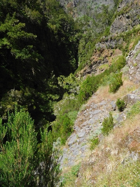 29.06.2016 Zum alten Verlauf der Levadinha Joao de Deus und über die Levada do Pico Ruivo und Serra do Faial zurück — Auf der neuen Levadinha Joao de Deus zur Madre und zurück zum Abstiegsweg — Foto 2