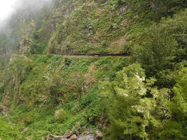 29.06.2016 Zum alten Verlauf der Levadinha Joao de Deus und über die Levada do Pico Ruivo und Serra do Faial zurück — Zurück auf der Levada da Serra do Faial zur Ribeira da Faja Nogueira — Foto 24