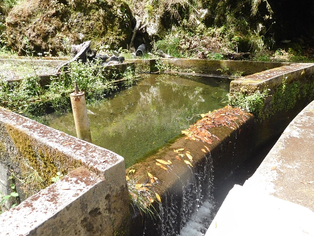 29.06.2016 Zum alten Verlauf der Levadinha Joao de Deus und über die Levada do Pico Ruivo und Serra do Faial zurück — Zurück auf der Levada da Serra do Faial zur Ribeira da Faja Nogueira — Foto 25