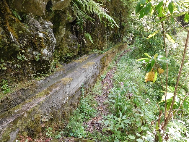 29.06.2016 Zum alten Verlauf der Levadinha Joao de Deus und über die Levada do Pico Ruivo und Serra do Faial zurück — Zurück auf der Levada da Serra do Faial zur Ribeira da Faja Nogueira — Foto 27