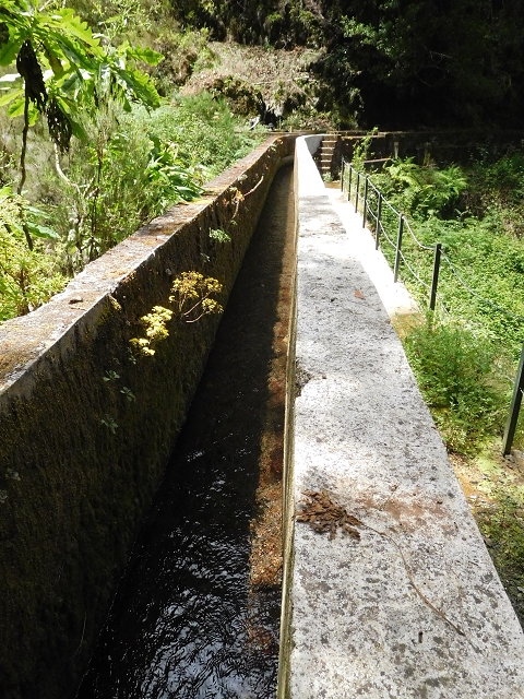 29.06.2016 Zum alten Verlauf der Levadinha Joao de Deus und über die Levada do Pico Ruivo und Serra do Faial zurück — Zurück auf der Levada da Serra do Faial zur Ribeira da Faja Nogueira — Foto 28