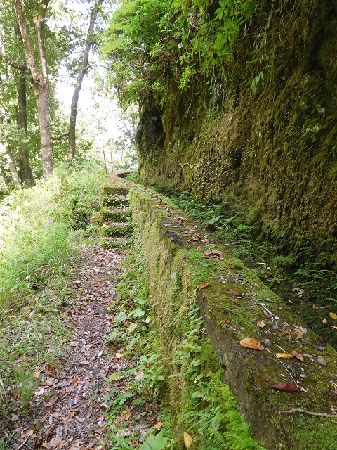 29.06.2016 Zum alten Verlauf der Levadinha Joao de Deus und über die Levada do Pico Ruivo und Serra do Faial zurück — Weiter auf der Levada da Serra do Faial zum Wassertunnel — Foto 1