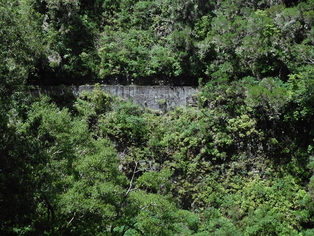 29.06.2016 Zum alten Verlauf der Levadinha Joao de Deus und über die Levada do Pico Ruivo und Serra do Faial zurück — Weiter auf der Levada da Serra do Faial zum Wassertunnel — Foto 2