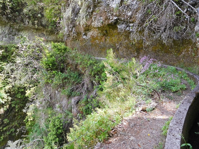 29.06.2016 Zum alten Verlauf der Levadinha Joao de Deus und über die Levada do Pico Ruivo und Serra do Faial zurück — Weiter auf der Levada da Serra do Faial zum Wassertunnel — Foto 3