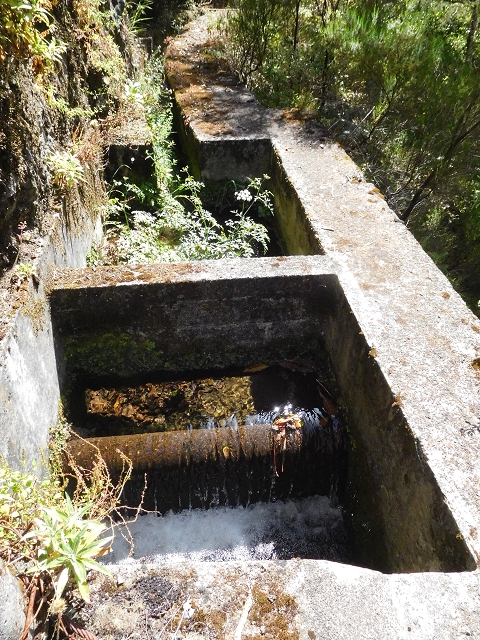 29.06.2016 Zum alten Verlauf der Levadinha Joao de Deus und über die Levada do Pico Ruivo und Serra do Faial zurück — Auf der neuen Levadinha Joao de Deus zur Madre und zurück zum Abstiegsweg — Foto 3
