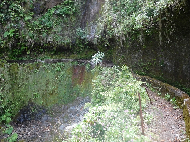 29.06.2016 Zum alten Verlauf der Levadinha Joao de Deus und über die Levada do Pico Ruivo und Serra do Faial zurück — Weiter auf der Levada da Serra do Faial zum Wassertunnel — Foto 6