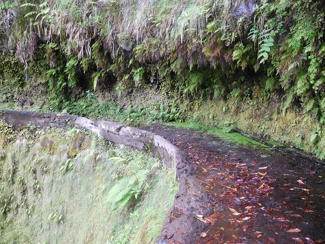 29.06.2016 Zum alten Verlauf der Levadinha Joao de Deus und über die Levada do Pico Ruivo und Serra do Faial zurück — Weiter auf der Levada da Serra do Faial zum Wassertunnel — Foto 7