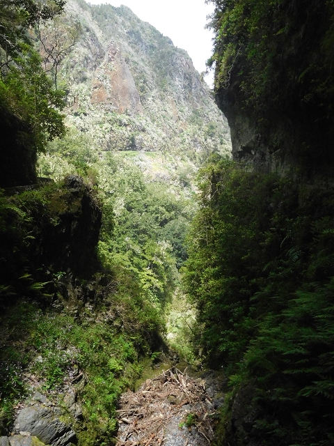 29.06.2016 Zum alten Verlauf der Levadinha Joao de Deus und über die Levada do Pico Ruivo und Serra do Faial zurück — Weiter auf der Levada da Serra do Faial zum Wassertunnel — Foto 8