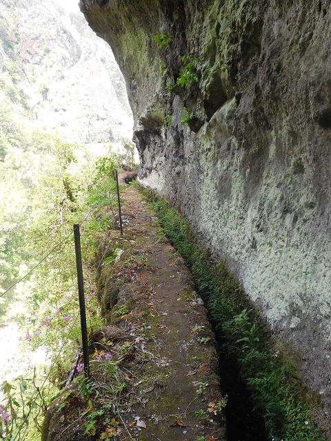 29.06.2016 Zum alten Verlauf der Levadinha Joao de Deus und über die Levada do Pico Ruivo und Serra do Faial zurück — Weiter auf der Levada da Serra do Faial zum Wassertunnel — Foto 10