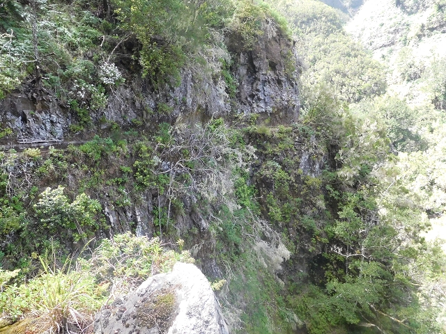 29.06.2016 Zum alten Verlauf der Levadinha Joao de Deus und über die Levada do Pico Ruivo und Serra do Faial zurück — Weiter auf der Levada da Serra do Faial zum Wassertunnel — Foto 11