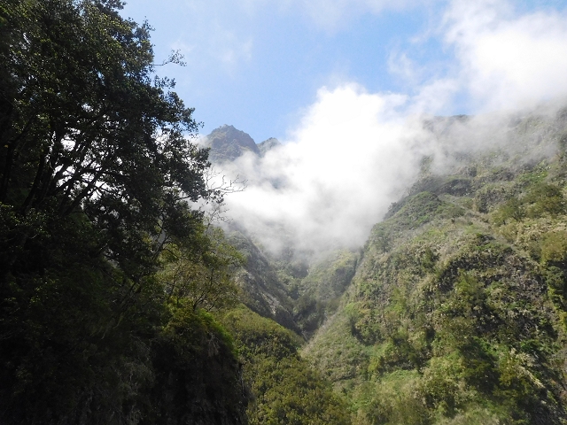 29.06.2016 Zum alten Verlauf der Levadinha Joao de Deus und über die Levada do Pico Ruivo und Serra do Faial zurück — Weiter auf der Levada da Serra do Faial zum Wassertunnel — Foto 12