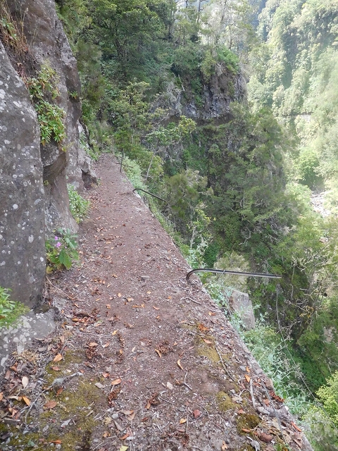 29.06.2016 Zum alten Verlauf der Levadinha Joao de Deus und über die Levada do Pico Ruivo und Serra do Faial zurück — Weiter auf der Levada da Serra do Faial zum Wassertunnel — Foto 14