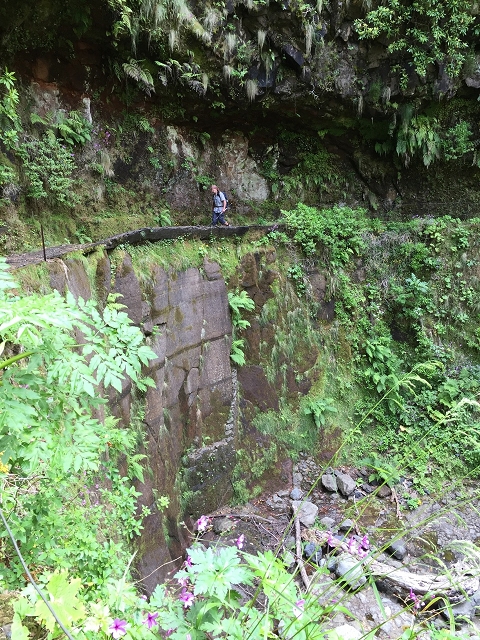 29.06.2016 Zum alten Verlauf der Levadinha Joao de Deus und über die Levada do Pico Ruivo und Serra do Faial zurück — Weiter auf der Levada bis zum Wasserbecken — Foto 1