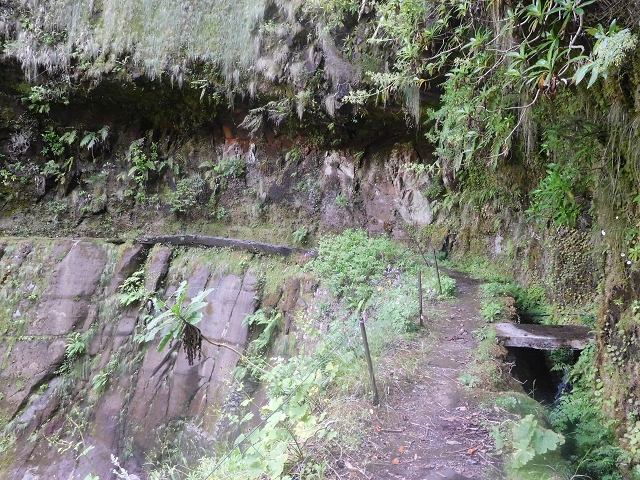 29.06.2016 Zum alten Verlauf der Levadinha Joao de Deus und über die Levada do Pico Ruivo und Serra do Faial zurück — Weiter auf der Levada da Serra do Faial zum Wassertunnel — Foto 16
