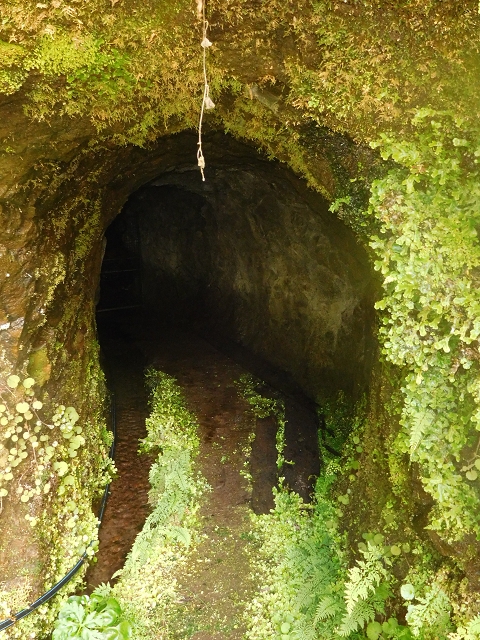29.06.2016 Zum alten Verlauf der Levadinha Joao de Deus und über die Levada do Pico Ruivo und Serra do Faial zurück — Abstecher zum Wasser-Stichtunnel — Foto 7