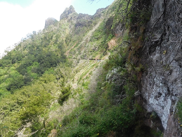 29.06.2016 Zum alten Verlauf der Levadinha Joao de Deus und über die Levada do Pico Ruivo und Serra do Faial zurück — Weiter auf der Levada bis zum Wasserbecken — Foto 3