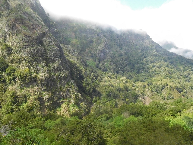 29.06.2016 Zum alten Verlauf der Levadinha Joao de Deus und über die Levada do Pico Ruivo und Serra do Faial zurück — Abstieg zur Schotterpiste und zurück zum Ausgangspunkt — Foto 1