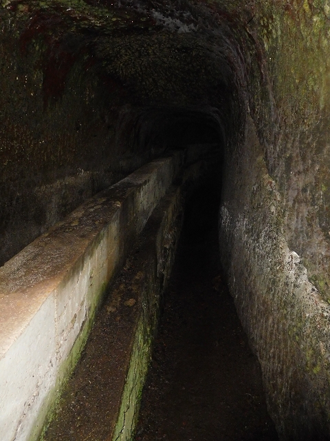 29.06.2016 Zum alten Verlauf der Levadinha Joao de Deus und über die Levada do Pico Ruivo und Serra do Faial zurück — Weiter auf der Levada bis zum Wasserbecken — Foto 7