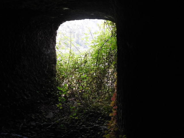 29.06.2016 Zum alten Verlauf der Levadinha Joao de Deus und über die Levada do Pico Ruivo und Serra do Faial zurück — Weiter auf der Levada bis zum Wasserbecken — Foto 8