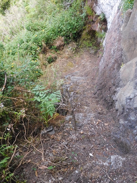 29.06.2016 Zum alten Verlauf der Levadinha Joao de Deus und über die Levada do Pico Ruivo und Serra do Faial zurück — Abstieg zur Schotterpiste und zurück zum Ausgangspunkt — Foto 2