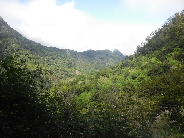29.06.2016 Zum alten Verlauf der Levadinha Joao de Deus und über die Levada do Pico Ruivo und Serra do Faial zurück — Abstieg zur Schotterpiste und zurück zum Ausgangspunkt — Foto 3
