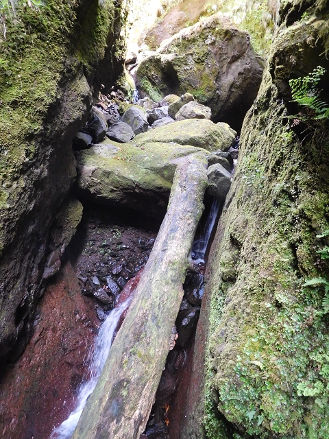 29.06.2016 Zum alten Verlauf der Levadinha Joao de Deus und über die Levada do Pico Ruivo und Serra do Faial zurück — Auf der neuen Levadinha Joao de Deus zur Madre und zurück zum Abstiegsweg — Foto 6