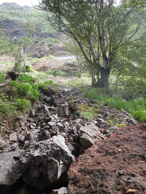 29.06.2016 Zum alten Verlauf der Levadinha Joao de Deus und über die Levada do Pico Ruivo und Serra do Faial zurück — Abstieg zur Schotterpiste und zurück zum Ausgangspunkt — Foto 4