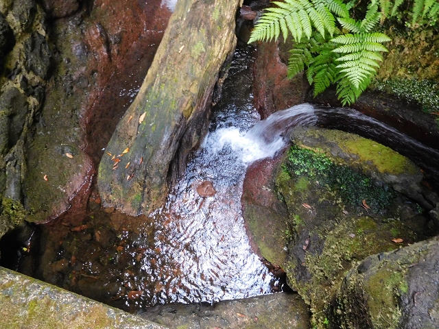 29.06.2016 Zum alten Verlauf der Levadinha Joao de Deus und über die Levada do Pico Ruivo und Serra do Faial zurück — Auf der neuen Levadinha Joao de Deus zur Madre und zurück zum Abstiegsweg — Foto 7