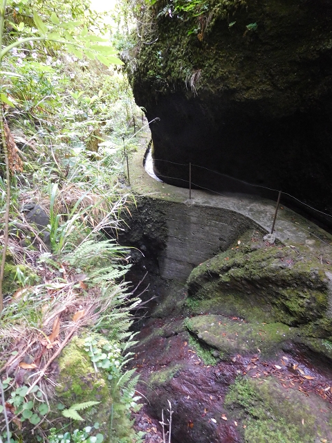 29.06.2016 Zum alten Verlauf der Levadinha Joao de Deus und über die Levada do Pico Ruivo und Serra do Faial zurück — Auf der neuen Levadinha Joao de Deus zur Madre und zurück zum Abstiegsweg — Foto 8