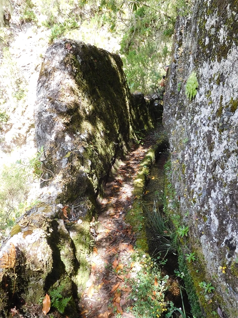 29.06.2016 Zum alten Verlauf der Levadinha Joao de Deus und über die Levada do Pico Ruivo und Serra do Faial zurück — Auf der neuen Levadinha Joao de Deus zur Madre und zurück zum Abstiegsweg — Foto 9