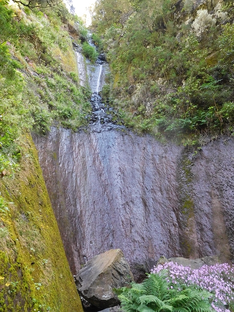 29.06.2016 Zum alten Verlauf der Levadinha Joao de Deus und über die Levada do Pico Ruivo und Serra do Faial zurück — Auf der neuen Levadinha Joao de Deus zur Madre und zurück zum Abstiegsweg — Foto 10