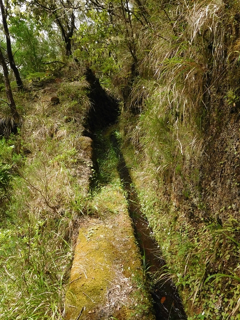 29.06.2016 Zum alten Verlauf der Levadinha Joao de Deus und über die Levada do Pico Ruivo und Serra do Faial zurück — Auf der neuen Levadinha Joao de Deus zur Madre und zurück zum Abstiegsweg — Foto 12