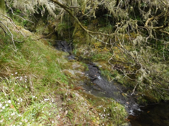 29.06.2016 Zum alten Verlauf der Levadinha Joao de Deus und über die Levada do Pico Ruivo und Serra do Faial zurück — Auf der neuen Levadinha Joao de Deus zur Madre und zurück zum Abstiegsweg — Foto 13