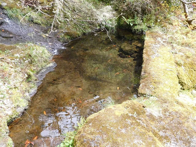 29.06.2016 Zum alten Verlauf der Levadinha Joao de Deus und über die Levada do Pico Ruivo und Serra do Faial zurück — Auf der neuen Levadinha Joao de Deus zur Madre und zurück zum Abstiegsweg — Foto 14