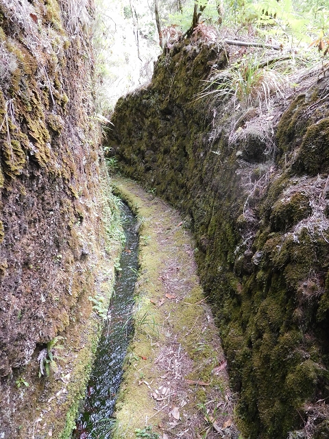 29.06.2016 Zum alten Verlauf der Levadinha Joao de Deus und über die Levada do Pico Ruivo und Serra do Faial zurück — Auf der neuen Levadinha Joao de Deus zur Madre und zurück zum Abstiegsweg — Foto 16
