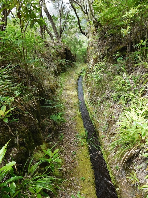 29.06.2016 Zum alten Verlauf der Levadinha Joao de Deus und über die Levada do Pico Ruivo und Serra do Faial zurück — Auf der neuen Levadinha Joao de Deus zur Madre und zurück zum Abstiegsweg — Foto 17