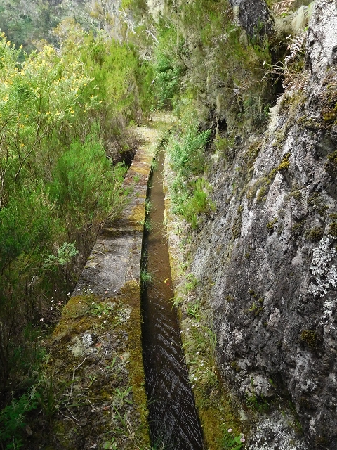 29.06.2016 Zum alten Verlauf der Levadinha Joao de Deus und über die Levada do Pico Ruivo und Serra do Faial zurück — Auf der neuen Levadinha Joao de Deus zur Madre und zurück zum Abstiegsweg — Foto 18