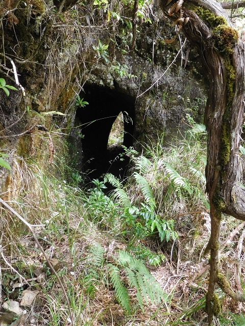 Levadinha Joao de Deus — Walking the first tunnel — photo 2